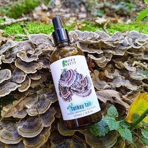 Peut inclure: Une bouteille en verre brun avec un compte-gouttes et une étiquette blanche. L'étiquette indique "Lucky Forest" et "Wild Turkey Tail Double Extraction Tincture" avec une illustration de champignon. La bouteille est posée sur un lit de champignons bruns et blancs.