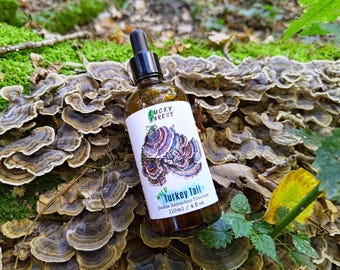 Kalkoenstaarttinctuur 100 ml (4 fl. oz) | Trametes versicolor | Wild Kruid Paddenstoel Dubbel Extract Immuniteit Handgemaakt Klein Bach -TT04/26-