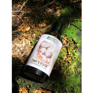 Tintura de Juba de Leão 100ml (4 oz) | Hericium erinaceus | Extrato Duplo de Cogumelo Cultivado em Casa para Cérebro, TEPT Complexo e Memória | Pequena Tintura Artesanal de Bach -LM05/26-