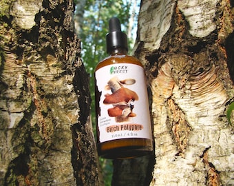 Teinture de polypore de bouleau 100 ml (4 fl oz) | Fomitopsis betulina | Double extrait, adaptogène immunitaire, bio, fait main | Petit flacon Bach -BP03/26-