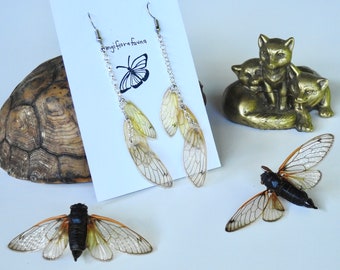 Brood X cicada wing earrings fairy wing earrings boho earrings