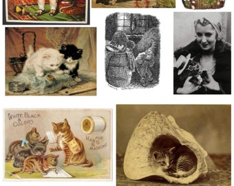 6 pagina's Vintage kattenafbeeldingen