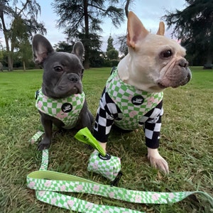 Verstellbares Hundegeschirr, Green Wave Checker Print, XS, klein, mittel, groß Mädchen / Jungen Hundegeschirr & Leine Set weich gepolstertes Weihnachtsgeschenk