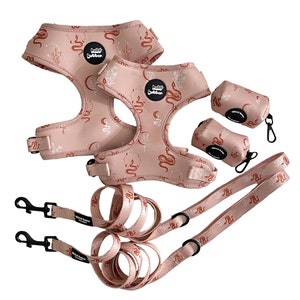 Verstellbares Hunderosa Schlangengeschirr SET, XS, Klein, Mittel, Groß, Hundegeschirr & Leine Set Haustier Mädchen / Jungen Hundegeschirr Gepolsterter Urlaub Geschenk Verkauf