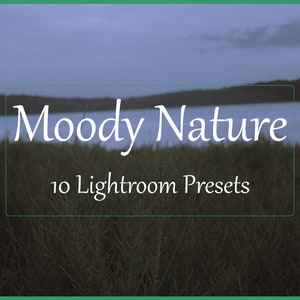 May include: A moody nature image with a lake and trees in the background. The text "Moody Nature 10 Lightroom Presets" is superimposed on the image.