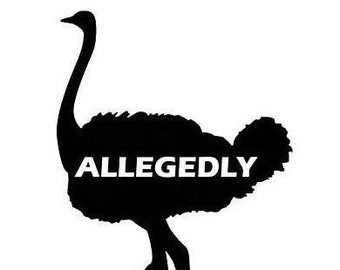  Allegedly Letterkenny Ostrich Morale Patch-. Custom Patches by  Redheadedtshirts Made in The USA : Clothing, Shoes & Jewelry