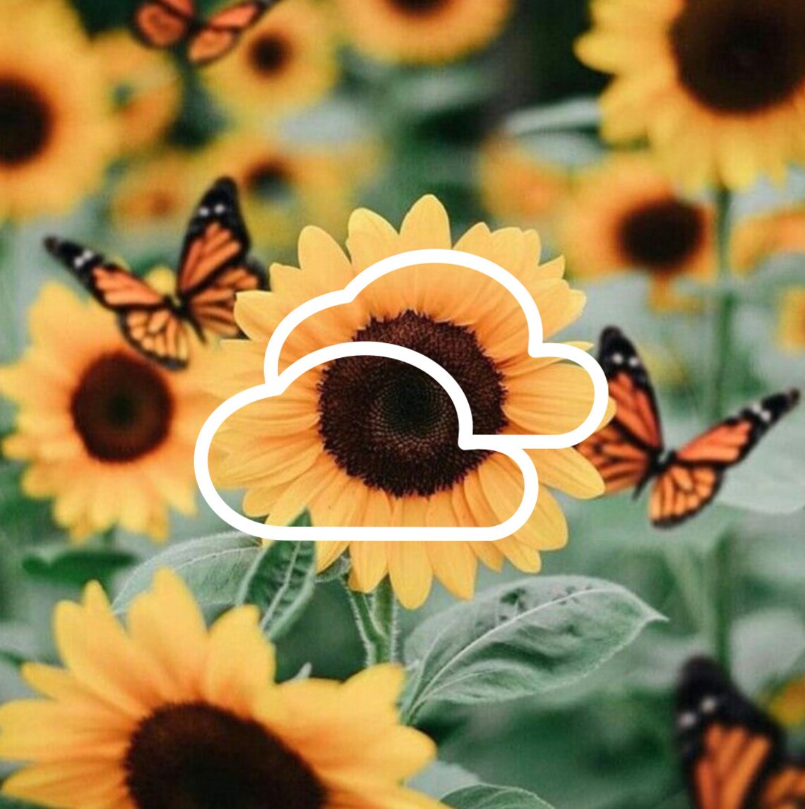 IOS 14 app icons Sunflower aesthetic icons bundle iOS 14 Etsy