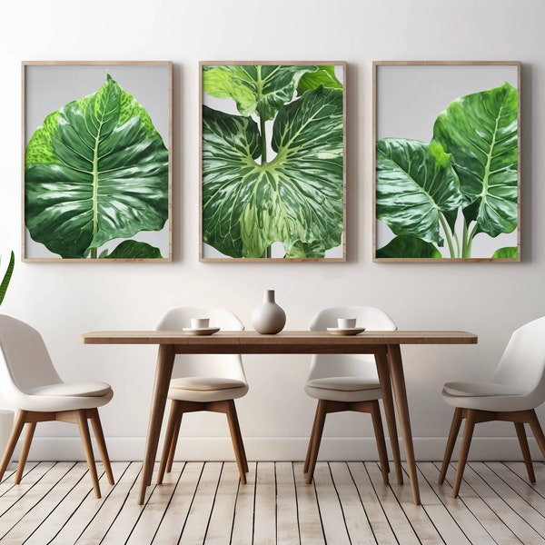 Botanical Elegance: Set of 3 Alocasia Frydek Variegata Prints