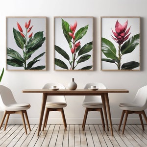 Red Musa Aeae Plant Print | Digital Download
