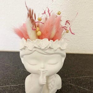 Flower girl plant head flowerpot succulent pot