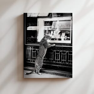 Loja de design vintage de leopardo e chita, arte de parede, pôster de impressão artística, tela ou moldura, presente fashionista