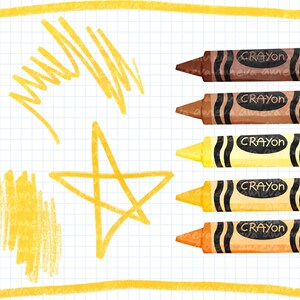 May include: Five crayons on a white gridded background. The crayons are labeled "Crayon" and are in shades of brown, yellow, and orange.
