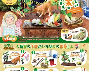 Dollhouse Miniatures Re-ment 2026 Growing Delicious Vegtables Farming Agriculture Carrots digging watering hometown grandma rural farmhouse