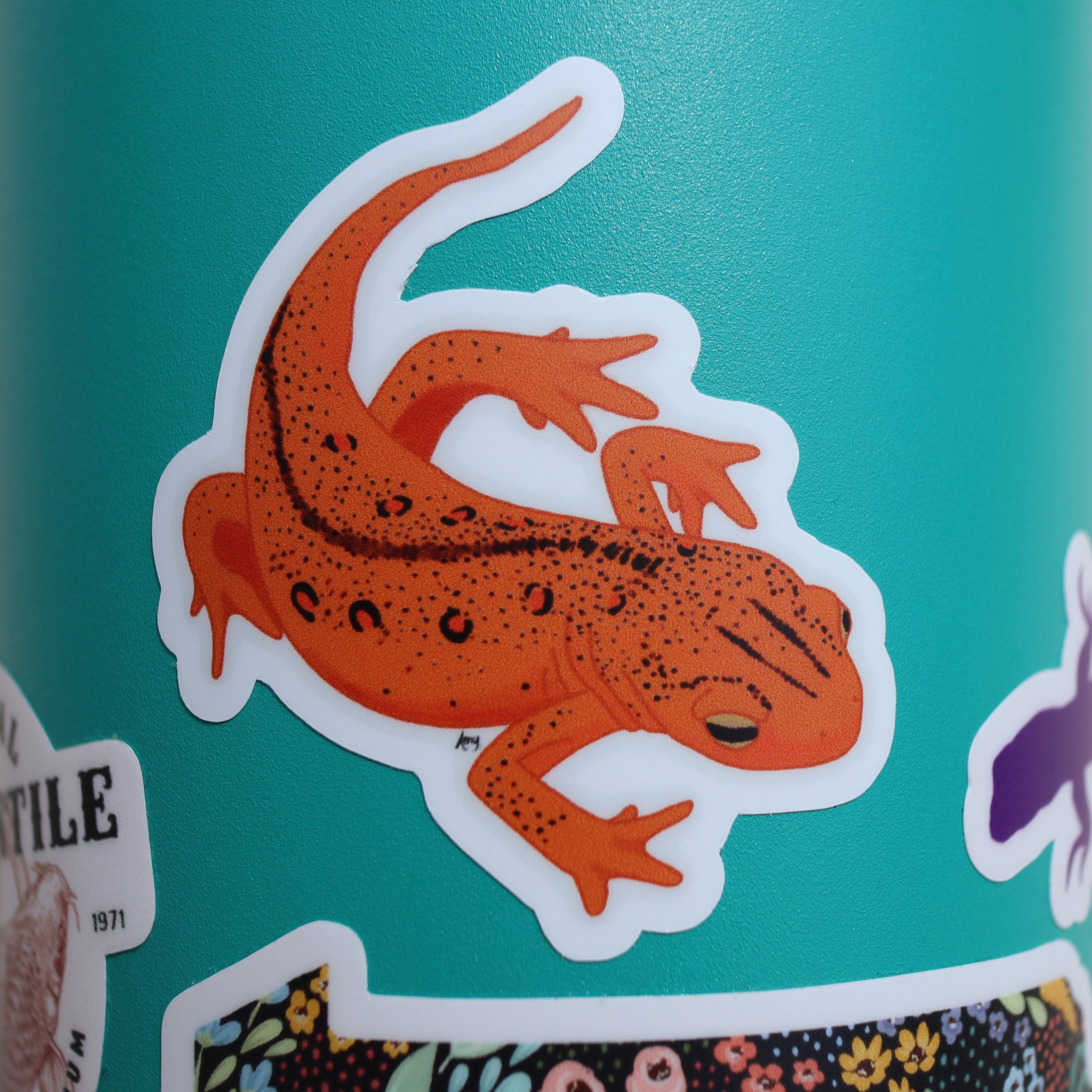 Send Newts Sticker Orange Red Spotted Newt Sticker - Etsy