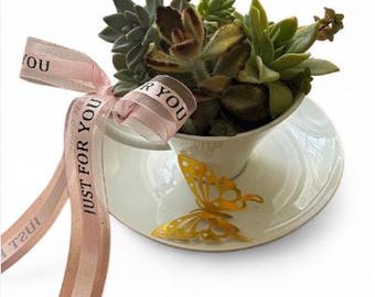 TeaCup and Saucer with Succulent Garden