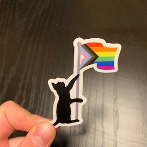 May include: A black cat silhouette holding up a pride flag with a black, brown, light blue, pink, light blue, dark blue, green, yellow, and orange stripe pattern.