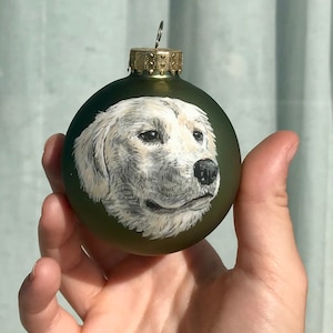 Custom Christmas Ornament Hand Painted Pet Portraits