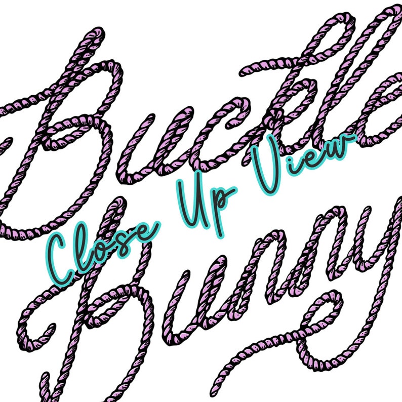 Buckle Bunny PNG Western Cowgirl PNG rodeo Png, Retro Western Png