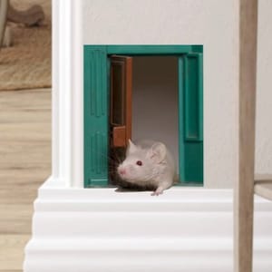 SALE Mouse hole wall sticker decal for baseboard / wall mini mural mice at play