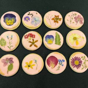 May include: Twelve round pink cookies decorated with pressed flowers. The flowers are a variety of colors and include purple, yellow, red, and white.