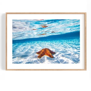 Fotografia de estrelas do mar subaquáticas | Arte de parede costeira do oceano para casas e escritórios de praia | Decoração de impressão emoldurada