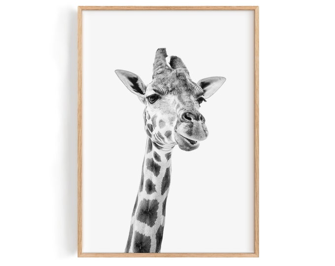 African Giraffe. nature and wildlife photography for the Modern Home. Print or framed wall decor.