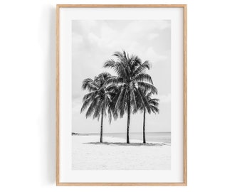 Black and White Palms. Beautiful scenic coastal photography for the Modern Home. Print or framed wall decor.