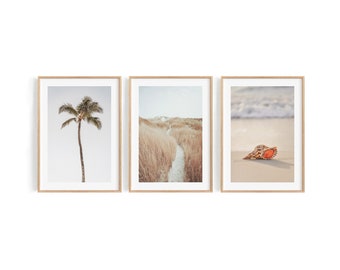 Coastal Collage. Set of three beautiful Beach photographs for the Modern Home. Print or framed wall decor.