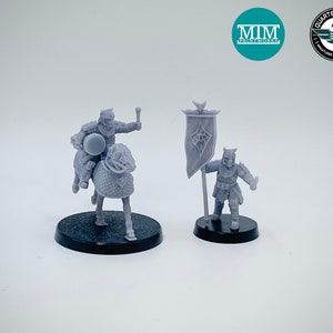 Eastern Immortal Command Units