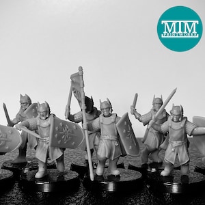 Western Warrior Swordsmen
