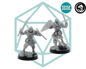 Male Human Knight with Sword and Shield | Tabletop RPG Miniature | D&D | Roleplaying