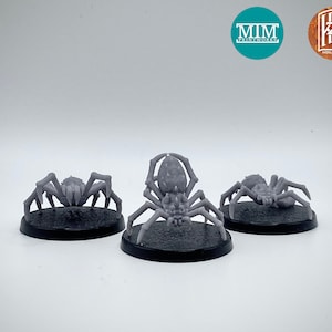 Venomous Spiders