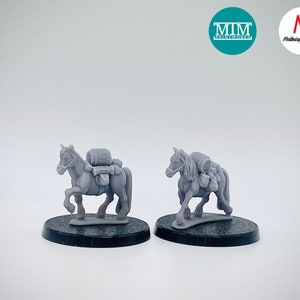 Meute de poneys