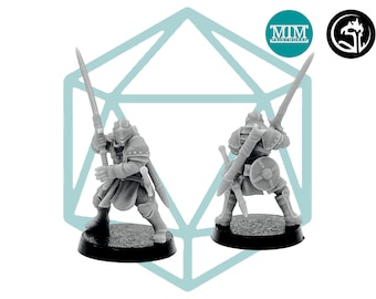 Human Veteran Warrior 2 | Tabletop RPG Miniature | D&D | Roleplaying