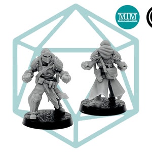 May include: Two grey plastic miniature figures of a hooded warrior, one facing forward and the other facing backward. Both figures are holding weapons and wearing armour.