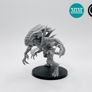 Xenos Queen