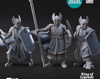 Grey Castle Court Guards