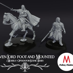 Elven Lord
