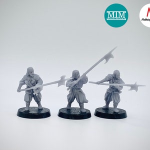 Rising Sun Pirate Warriors with Spear