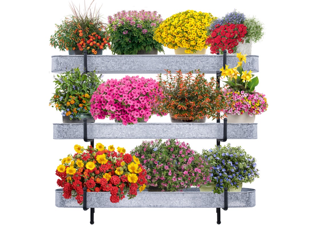 Vertical Garden Rack Wall Spacesaving Wall Mounted Planter Etsy