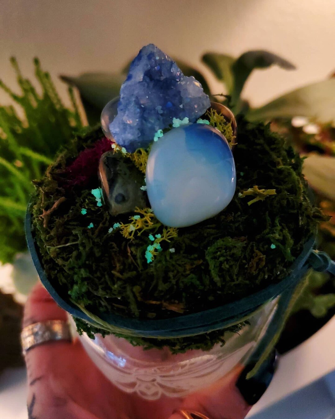 Magical Moth Jar Etsy