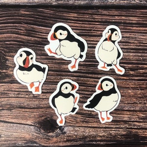 5 adesivi divertenti per le vacanze con pulcinella di mare/ pulcinella di mare di Natale/ adesivi in vinile impermeabili/ adesivi per custodie per laptop/ adesivi per uccelli/ adesivi per bottiglie d'acqua