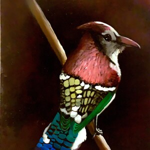 Pride Feathers | Painting of a Naturally Rainbow-Colored Bird | By Arien Reed
