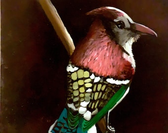 Pride Feathers | Painting of a Naturally Rainbow-Colored Bird | By Arien Reed