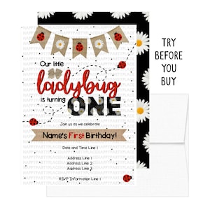 Ladybug First Birthday Party Invitations, Ladybug Invitation, Ladybug Birthday Invites, Ladybug Birthday Party, Printable DIY Ladybug Party