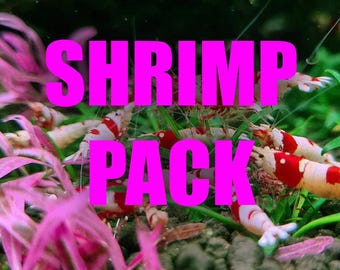 May include: Close-up of a group of red and white shrimp in a planted aquarium. The shrimp are swimming among green plants and pink aquatic plants. The text "SHRIMP PACK" is written in large pink letters across the image.