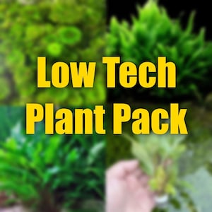 May include: A collage of different types of green plants with the text "Low Tech Plant Pack" in yellow.