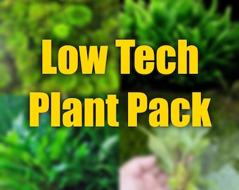 Low Tech Aquarium Plant package Perfect for beginners all easy low tech aquarium freshwater plants