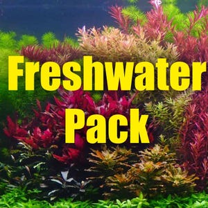 May include: A close-up of a freshwater aquarium tank with a variety of colorful plants. The text "Freshwater Pack" is displayed in yellow letters.