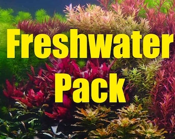 May include: A close-up of a freshwater aquarium tank with a variety of colorful plants. The text "Freshwater Pack" is displayed in yellow letters.
